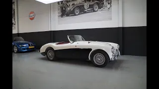 1955 Austin Healey 100 4 Le Mans Mille Miglia Eligible for sale