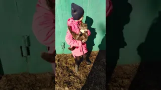 Дочь гуляет с котом