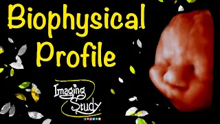 Fetal Biophysical Profile - Imaging Study Lecture