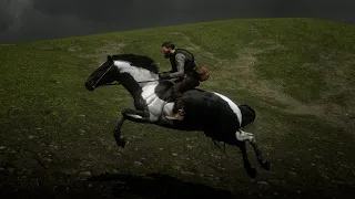 You'll Find This Horse Only Once In Guarma Beach - RDR2