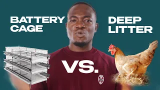 BATTERY CAGE SYSTEM OR DEEP LITTER SYSTEM, WHICH IS BETTER?