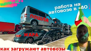 Выпуск #22|Как загружают автовозы коллеги|Машины Б/У| Дальнобой Работа на автовозе по Европе |+40