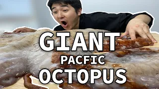 [GRAPHIC] GIANT 23lb Pacific OCTOPUS Cooked 3 Ways