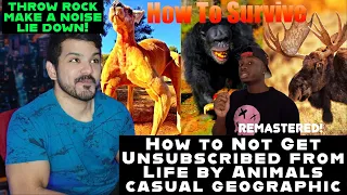 How to Not Get Unsubscribed from Life by Animals by casual geographic reaction