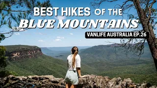 BLUE MOUNTAINS (Best Hikes and Lookouts) | Van Life Australia Vlog Ep. 26