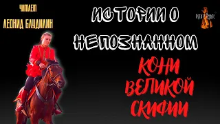 Истории о Непознанном: КОНИ ВЕЛИКОЙ СКИФИИ.