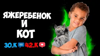 Яжеребёнок мучает кота!!🔥🔥Яжемать истории.