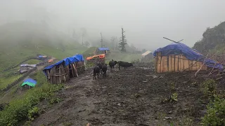 Most Heavenly Nepali Mountain Village Rainy Season Life | Living with Relaxation Nature|VillageLife