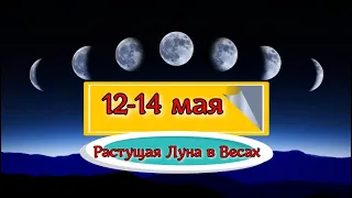 Самые лучшие дни в мае 2022 для посадки и пересадки почти всех огородных культур. 12-14 мая