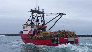 Newport's 5th Annual Crab Blessing