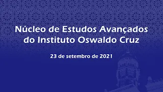 Pandemia(s), insumos e estratégias futuras para o complexo econômico-industrial da saúde (CEIS)