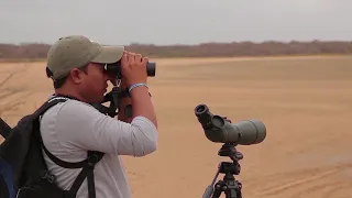 Northern Colombia Birding Trail