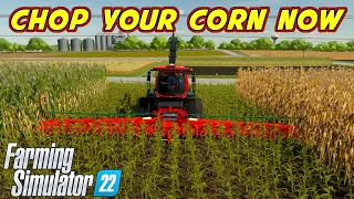 When To Chop Corn For Chaff In Farming Simulator 22