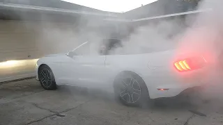 2020 Mustang Burn-out 0-60 and review line lock rules EcoBoost Premiu6