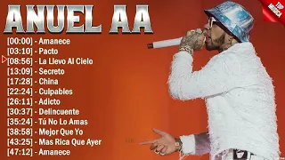 Anuel AA Grandes Exitos Enganchados - Sus Mejores Éxitos 2024