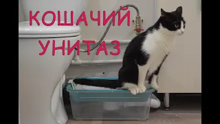 Кошачий унитаз! Забудьте про лоток!