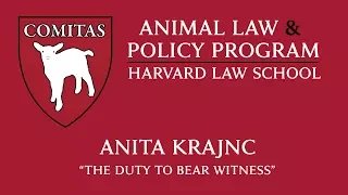 Animal Law Week at HLS | Anita Krajnc, "The Duty to Bear Witness"