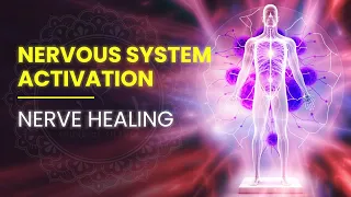 Parasympathetic Nervous System Activation | Turn Off Your Stress And Anxiety | Vagus Nerve Healing