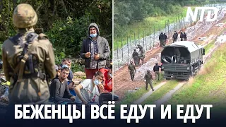 Польша вводит режим ЧП на границе с Беларусью из-за беженцев