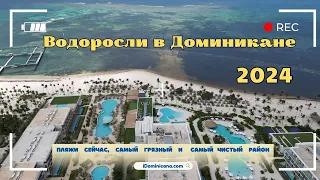 Доминикана 2024: как выглядят пляжи, самый грязный район, водоросли - iDominicana.com