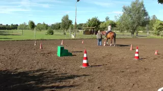 ClickerSchule.de - Pferd Sally wird angeritten 2: Das erste Mal in Bewegung