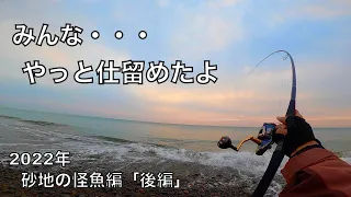 ついに砂浜から1m超えの巨大魚を釣り上げた。（2022年砂地の怪魚編後編）【車中泊釣り旅第三弾・西日本&九州編13話】