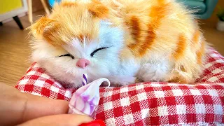 ADORABLE cat miniatura 🐈 MINI food | CAT MINI ! FEEDING THE CAT