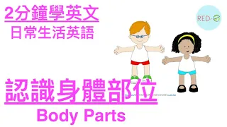 2分鐘學英文｜生活常用英文｜用英文學習身體的部位單詞 Body Parts｜你 RED-E 了沒?