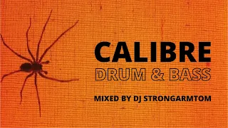 Calibre ~ Drum & Bass Mix