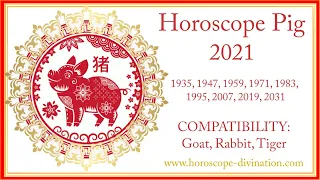 豬 Chinese Horoscope 2021 Pig • Chinese New Year 2021 • Year of the White Metal Ox 牛