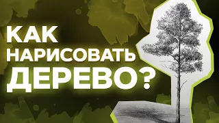 Дерево вырастает на глазах! / Как нарисовать дерево? / Уроки рисования: учимся рисовать дерево