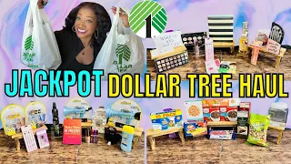 HUGE JACKPOT DOLLAR TREE HAUL ~ NEW DOLLAR TREE HAUL🌟NEW🌟FINDS DOLLAR TREE