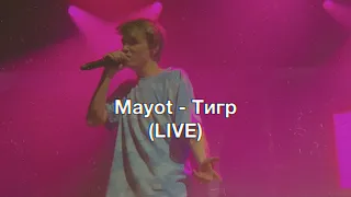 Mayot – Тигр (Live) | Концерт Mayot в СПБ 2021