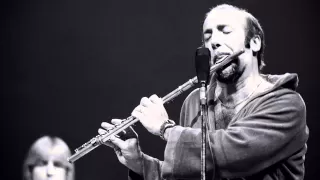 Herbie Mann - Watermelon Man.wmv