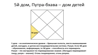 5-й дом гороскопа: основные характеристики - Василий Тушкин