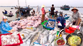 Gặp Cá Bằn Chặn Ở Huế | Độc Đáo Bánh Xèo Cá Kình Chợ Chuồn