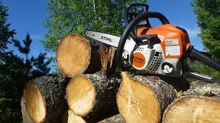 Stihl MS 181 - Best Starting Chainsaw for the Modern Homesteader