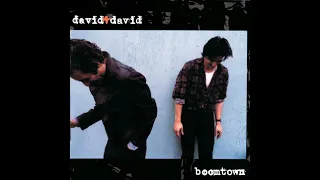 david+david    '' Swallowed By The Cracks ''   ( Rare Single )
