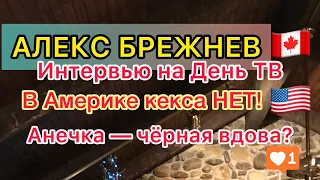 Алекс Брежнев на канале Звезда и День ТВ. Крах половой жизни в США и Канаде. Что скрывает Анечка?