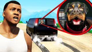 GTA 5 - CHOP wurde ENTFÜHRT! (Finde Chop)