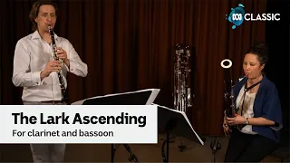 The Lark Ascending arranged for clarinet and bassoon