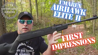 Umarex Ruger AirHawk Elite II First Impressions