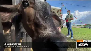 🔴 Noticias Telemedellín - miércoles, 3 de agosto de 2022, emisión 6:45 a. m.