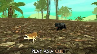 Wild Panther Sim 3D Gameplay