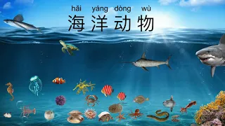 69 Sea Animals in Chinese 69种海洋动物 ｜本杰明品格T2