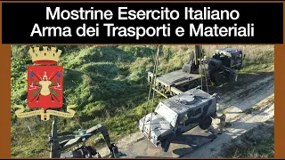 Mostrine Arma dei Trasporti e Materiali Esercito Italiano