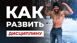 Как развить дисциплину! Прекращаем прокрастинировать и ждать чуда! Берем себя  в руки и работаем!