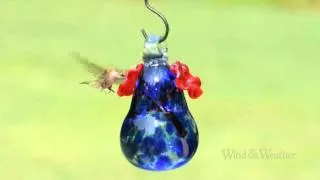 Blue Glass Hummingbird Feeder - Wind & Weather