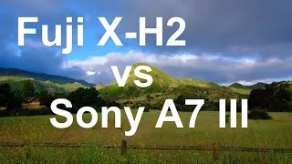 Fuji X-H2 v Sony A7 III - 40 MP v Full Frame