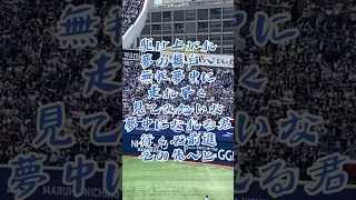 西武ライオンズ外崎修汰選手応援歌